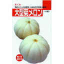 メロン 種 【菊メロン】 小袋 ( 種 野菜 野菜種子 野菜種 ) メロン 種 【菊メロン】 小袋 ( 種 野菜 野菜種子 野菜種 )
