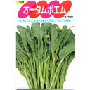 つみ菜 種 【 オータムポエム 】 種子 小袋（約2ml） （ 種 野菜 野菜種子 野菜種 ）