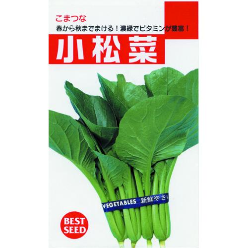 小松菜 種 【一般種】 50ml （ 種 野菜 野菜種子 野菜種 ）
