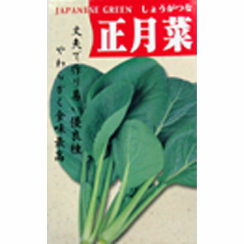 【 正月菜 】 種子 小袋（約20ml） （ 種 野菜 野菜種子 野菜種 ）