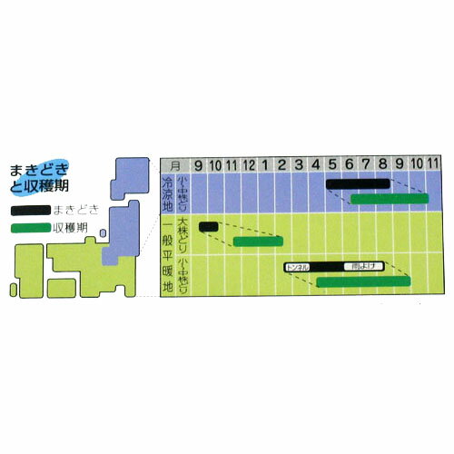 ������ �� �� ���տ����� (����) �� ��� ���ޡ���8ml�� �� �� ��� ��ڼ�� ��ڼ� ��