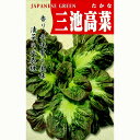 【 三池大葉高菜 】 種子 小袋(約8ml) ( 種 野菜 野菜種子 野菜種 )
