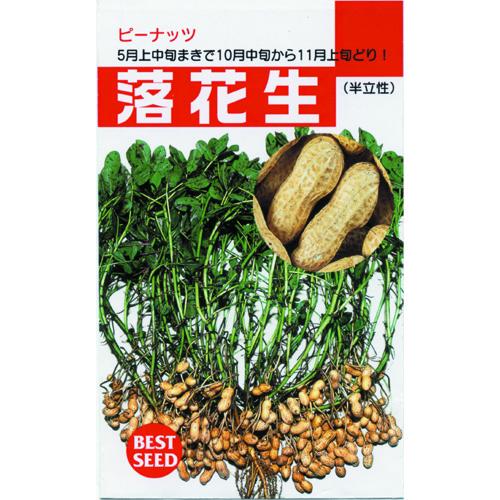 樂天商城 - 落花生 種 【 半立性落花生 】 小袋 (70ml) ( 落花生の種 )