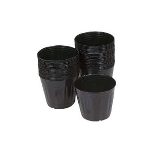 Glass Bowls - ポリ鉢 15cm 100入