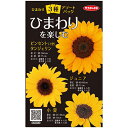 ひまわり 種 【 ひまわりを楽しむ 】 3種アソート小袋 ( ひまわりの種 )