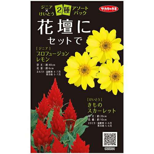 花の種セット 【 花壇にセットで（けいとう・ジニア） 】 小袋