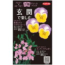 花の種セット 【 玄関で楽しむ(パンジー・スイートピー) 】 小袋