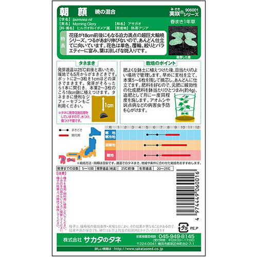 朝顔 種 【 暁の混合 】 実咲小袋 （ 朝顔の種 ）