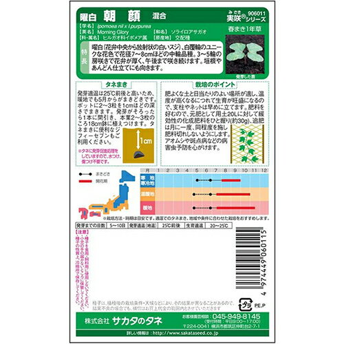 朝顔 種 【 曜白混合 】 実咲小袋 （ 朝顔の種 ）