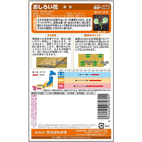 おしろい花 種 【 混合 】 実咲小袋 （ おしろい花の種 ）