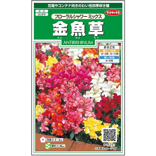 金魚草 種 【 フローラルシャワー ミックス 】 実咲小袋 （ 金魚草の種 ）