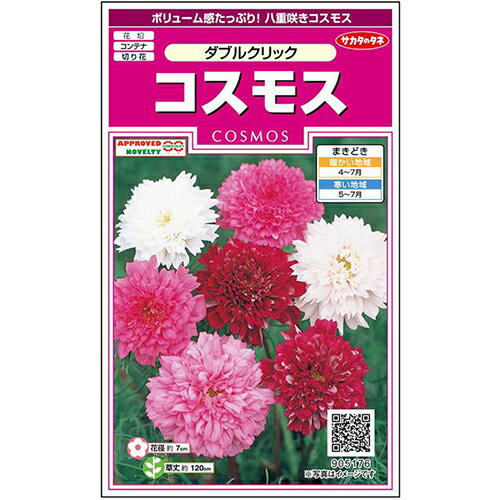 コスモス 種 【 ダブルクリック 】 実咲小袋 （ コスモスの種 ）