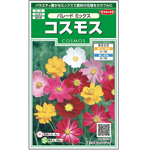 コスモス 種 【 パレード ミックス 】 実咲小袋 （ コスモスの種 ）