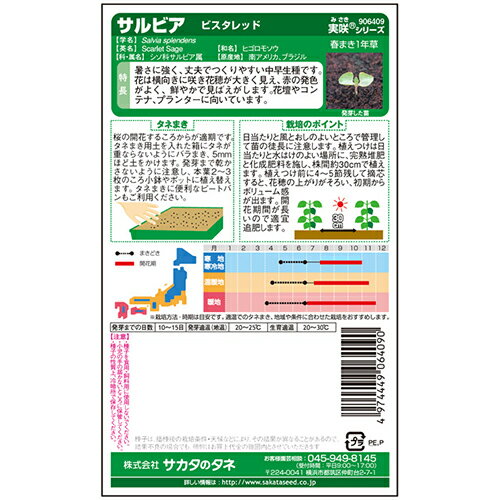 サルビア 種 【 ビスタレッド 】 実咲小袋 （ サルビアの種 ）