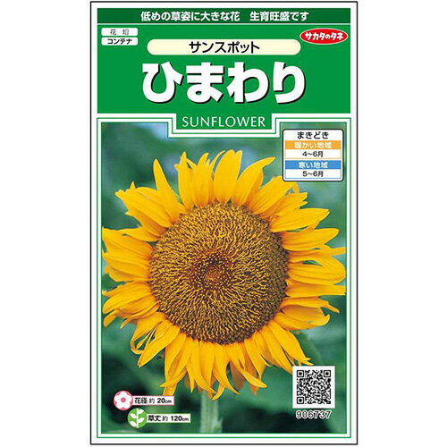 ひまわり 種 【 サンスポット 】 実咲小袋 （ ひまわりの種 ）