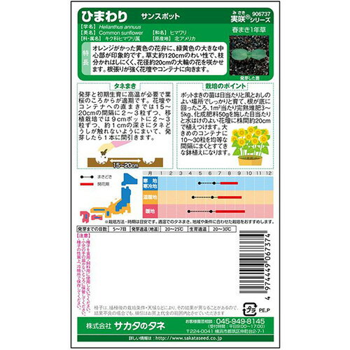 ひまわり 種 【 サンスポット 】 実咲小袋 （ ひまわりの種 ）