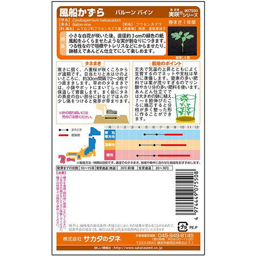 ���������� �� �� ����������ʥХ롼��Х���� �� �º龮�� �� ����������μ� ��