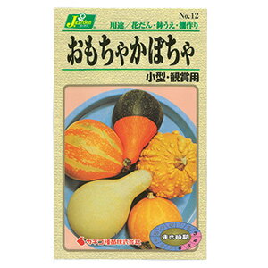 おもちゃかぼちゃ 種 【 （小型・観賞用） 】 小袋 （ おもちゃかぼちゃの種 ）