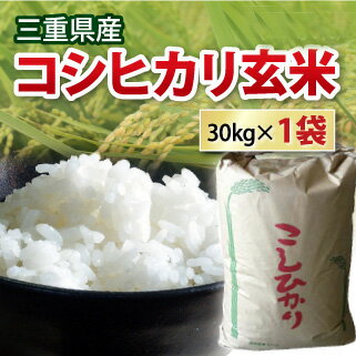 楽天市場】コシヒカリ 玄米 30kg(玄米|米・雑穀):食品の通販 楽天市場】コシヒカリ 玄米 30kg(玄米|米・雑穀):食品の通販