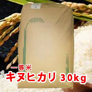 【 令和2年 】三重県産 キヌヒカリ （きぬひかり） 玄米 一等米 30kg 【送料無料】のサムネイル