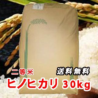 【 令和元年 】三重県産 ヒノヒカリ 玄米 二等米 30kg お米 コメ こめ 【送料無料】のサムネイル