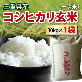 【送料無料】【 令和4年産 】新米 三重県産 コシヒカリ こしひかり 玄米 一等米 30kg お米 コメ