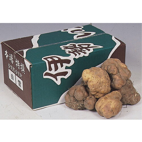 伊勢芋 三重県産 2kg | 農業屋.com