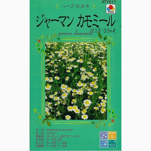 樂天商城 - ハーブ 種 【ジャーマンカモミール】 小袋（タキイ） （ 種 野菜 野菜種子 野菜種 ）