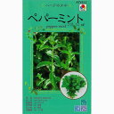 ハーブ 種 【 ペパーミント 】 種子 小袋 ( 種 野菜 野菜種子 野菜種 )