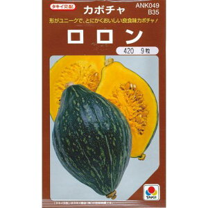 かぼちゃ 種 【ロロン】 ＲＦ 9粒 （ 種 野菜 野菜種子 野菜種 ）