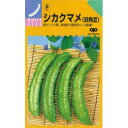 雑豆 種 【 四角豆 シカクマメ 】 種子 小袋（約15ml） （ 種 野菜 野菜種子 野菜種 ）