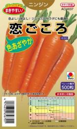 にんじん 種 【 恋ごころ 】 種子 小袋（約500粒） （ 種 野菜 野菜種子 野菜種 ） ★