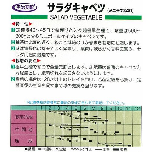 キャベツ 種 【サラダキャベツ】 小袋（約150粒） （ 種 野菜 野菜種子 野菜種 ） 2