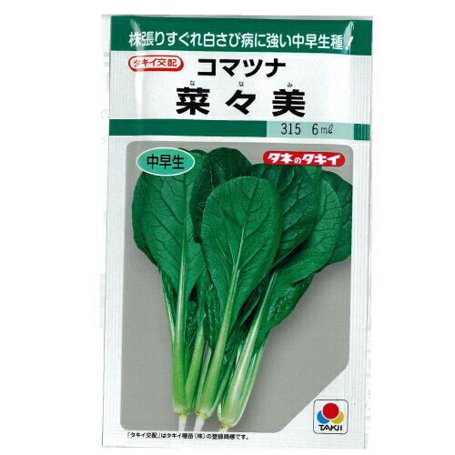 小松菜 種  2dl （ 種 野菜 野菜種子 野菜種 ）