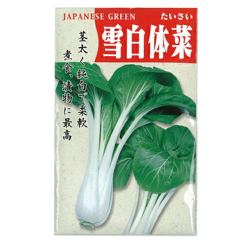 漬け菜 種 【雪白体菜】 50ml （ 種 野菜 野菜種子 野菜種 ）