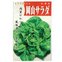 レタス 種  種子 小袋（約20ml） （ 種 野菜 野菜種子 野菜種 ）