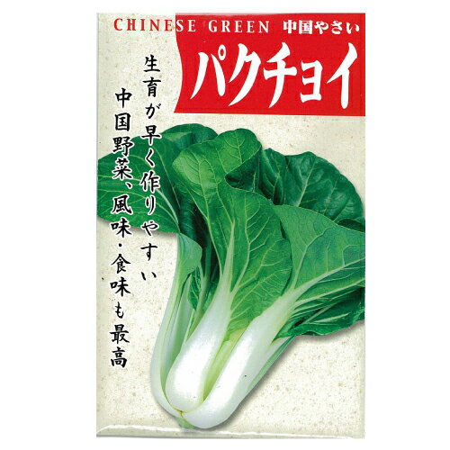 ちんげん菜 種 【 パクチョイ 】 8ml ( ちんげん菜の種 )