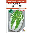 白菜 種 【 晩輝 】 小袋 RF ( 白菜の種 )
