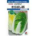 この商品はメール便不可です。宅配便でのお届けとなります。種子と責任種子は努めて純良なものをご用意しておりますが、商品の性質上100%の純度や発芽は望めません。商品の包装等に記載のある、発芽試験結果を満たした商品をお届けいたします。発芽は播種後の条件により結果が異なるため、温度や水分などを品目ごとに適した条件下で管理してください。不適条件下では発芽しないことがあり、また100%同一ではなく、まれに異株が出る場合がございます。種子・苗などについて、発芽後および植えつけ後の栽培条件や天候などによって結果が異なりますので、商品の生長後や収穫物に対する補償はいたしかねます。また商品の性質上、結果不良につきましてはお買い上げ金額の範囲内とさせていただきます。(お客様の栽培管理や気象条件による結果不良につきましては、その責任を負いかねます)独自に加工されたものや、お届け後に有効期限を超えられたものにつきましては責任を負いかねます。野菜などの収穫物については、品種の特性や栽培条件などにより生育に差が生じることがあり、収穫物のサイズ、重量、味などは掲載表現と異なる場合がございます。きらぼし85 (白菜) 科名 アブラナ科 発芽適温 20〜25゜C 生育適温 20゜C前後 発芽日数 3〜5日 白菜の種 蒔き方(※数値はあくまでも目安です。特に、畝幅や条数・播種方法などは栽培方法を限定するものではありません） 播種方法 種子形態 畝幅 （cm） 条数 （条） 株間 （cm） 10a当たり 株数 10a当たり 播種量 10a当たり 播種量（粒数） 20ml当たり 粒数 育苗 裸 60〜70 1 45〜50 2,800〜3,700 30〜40ml 5,250〜1万 3,500〜5,000 ペレット 60〜70 1 45〜50 2,800〜3,700 　 3,500〜4,500 　 直まき &nbsp; 60〜70 1 45〜50 2,800〜3,700 80〜100ml 1.4万〜2万 3,500〜5,000 ※ミニサイズの場合は株間20〜25cm※直蒔き時は点蒔き