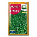 緑肥・牧草 種 【 ダイカンドラ 】 種子 小袋(20ml) （ 種 野菜 野菜種子 野菜種 ）