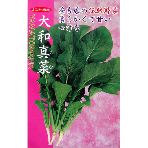 漬け菜 種 【 大和真菜 】 種子 小袋（約1dl） （ 種 野菜 野菜種子 野菜種 ）