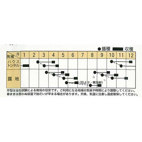 大根 種 【 ミニマル 】 種子 小袋（約8ml） （ 種 野菜 野菜種子 野菜種 ） ★