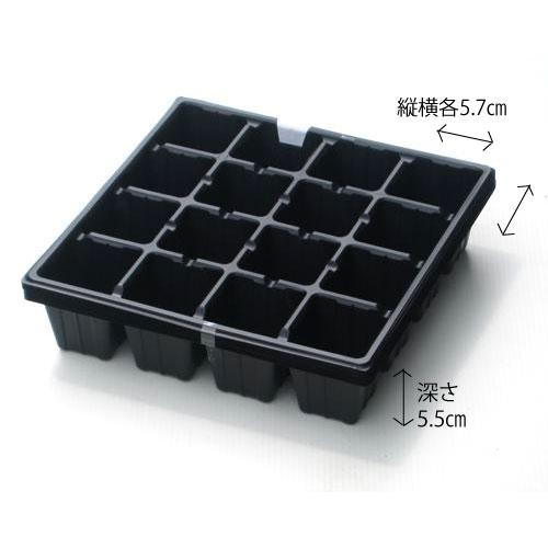 �礭�ʰ��ĥȥ졼 ����ܥå��� 16�� 10����