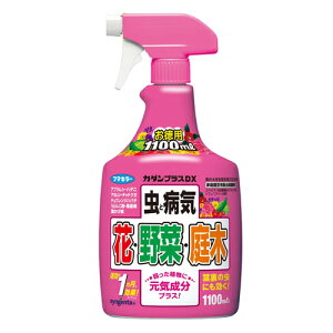 カダンプラスDX 1100ml