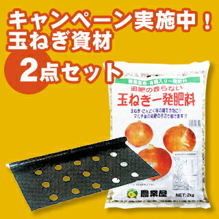 楽天市場 苗 玉ねぎ苗 菜園くらぶ 家庭菜園の専門店 楽天市場 苗 玉ねぎ苗 菜園くらぶ 家庭菜園の専門店