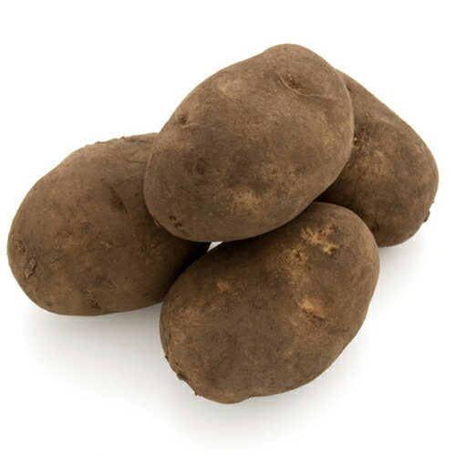 楽天市場】ながさき黄金種芋の通販