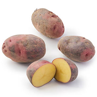 じゃがいも 種イモ 【グラウンドペチカ（デストロイヤー） 300g入り】馬鈴薯 ばれいしょ ジャガイモ 種芋 タネイモ 栽培 販売]...