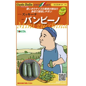 バンビーノ(ズッキーニの種) 小袋 <br>【野菜種子 販売】