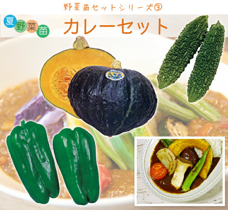 夏野菜苗 カレーセット（カボチャ苗 ピーマン苗 ゴーヤ苗各4本、計12本セット）のサムネイル