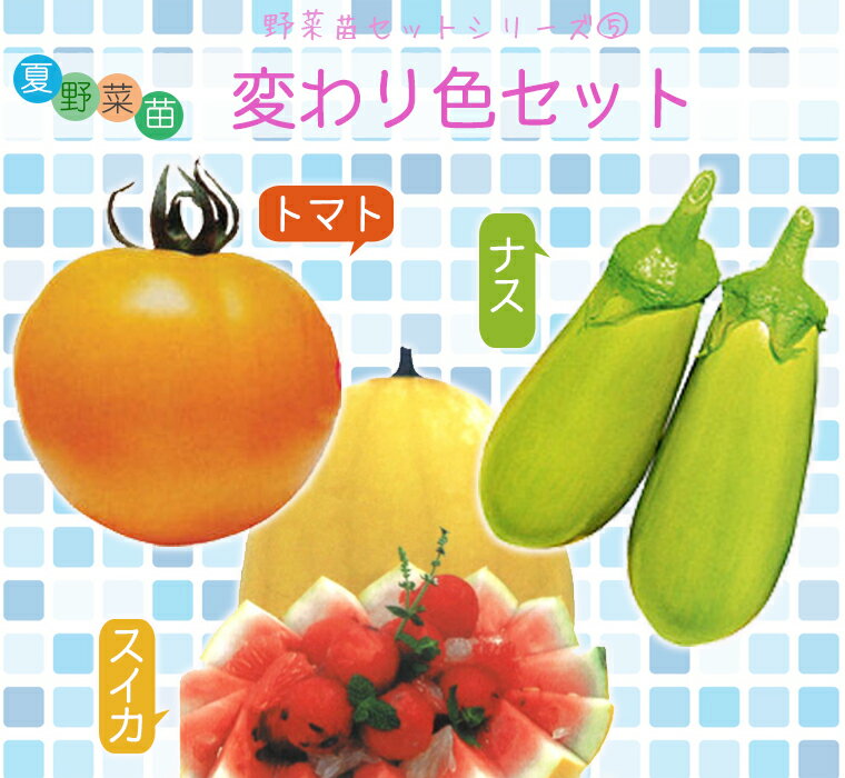 夏野菜苗 変わり色セット（トマト苗、ナス苗 スイカ苗各4本、計12本セット）のサムネイル